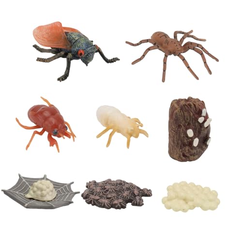 YARNOW 2 Sätze Realistische Tier lebenszyklus Modelle für Sichere Kunststoff insektenmodelle Spinne Zikadenmodell Pädagogisches Lernspielzeug Entdeckerdrang und von YARNOW