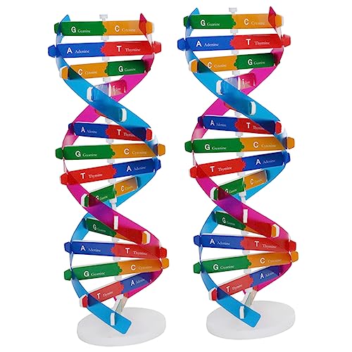 YARNOW 2 Stück DNA Doppelhelix Modell Bausatz Teiliges Wissenschaftliches Lehrmittel für Unterricht Biologie DIY Montage Lernspielzeug Robust Anschaulich YARNOW 2 Stück DNA Doppelhelix Modell Bausatz Teiliges Wissenschaftliches Lehrmittel für Unterricht Biologie DIY Montage Lernspielzeug Robust Anschaulich von YARNOW