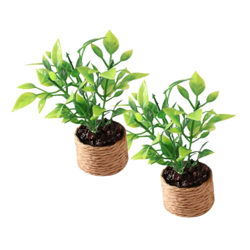 YARNOW 2 Stück Mini Orangenbaum Puppenspielzeug Miniatur Dekorationen Miniatur Miniatur Zubehör Miniatur Hausbausatz Kleine Dinge Miniatur Topfpflanzen 112 Hauszubehör Aus YARNOW 2 Stück Mini Orangenbaum Puppenspielzeug Miniatur Dekorationen Miniatur Miniatur Zubehör Miniatur Hausbausatz Kleine Dinge Miniatur Topfpflanzen 112 Hauszubehör Aus von YARNOW