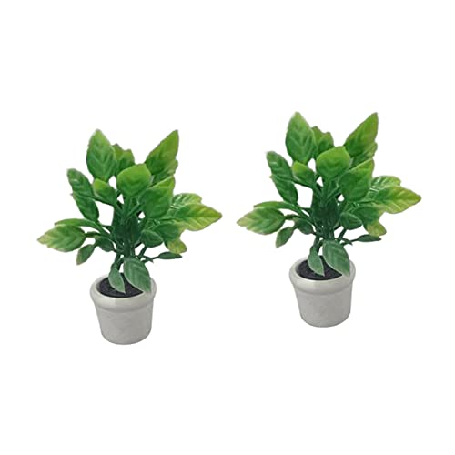 YARNOW 2Stücke Mini Künstliche Topfpflanzen Bonsai für Puppenhaus Dekoration Naturgetreue Pflanzen für Mikrolandschaften und Fairy Garden Zubehör YARNOW 2Stücke Mini Künstliche Topfpflanzen Bonsai für Puppenhaus Dekoration Naturgetreue Pflanzen für Mikrolandschaften und Fairy Garden Zubehör von YARNOW