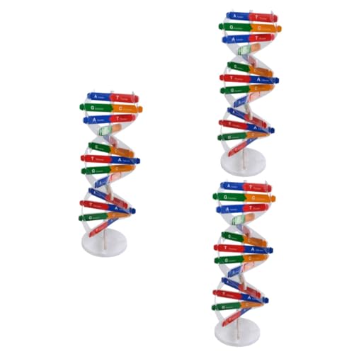 YARNOW 3 Sätze DNA Modellset Doppelhelix DNA Bausatz für und Experimente Pädagogisches Wissenschaftsspielzeug für Lehrmittel zur Veranschaulichung und Funktion Zufällige von YARNOW