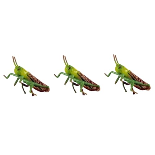 YARNOW 3 Stck. Realistisches Kunststoff Insektenmodell Lifelike Grille Figur für Bildung und Dekoration für Zuhause und Büro von YARNOW