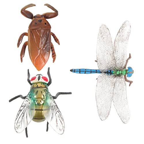 YARNOW 3 Stück Teiliges Lernspielzeug für Realistische Insektenmodelle aus Pädagogisches für Kreatives und für Jungen und Mädchen YARNOW 3 Stück Teiliges Lernspielzeug für Realistische Insektenmodelle aus Pädagogisches für Kreatives und für Jungen und Mädchen von YARNOW