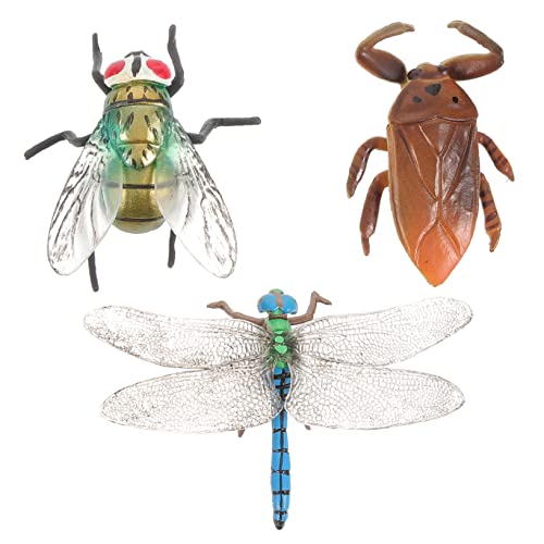 YARNOW 3 Stück Teiliges Lernspielzeug für Realistisches Insektenmodell aus Pädagogisches für Frühe Entdeckung für Partys und Dekoration YARNOW 3 Stück Teiliges Lernspielzeug für Realistisches Insektenmodell aus Pädagogisches für Frühe Entdeckung für Partys und Dekoration von YARNOW