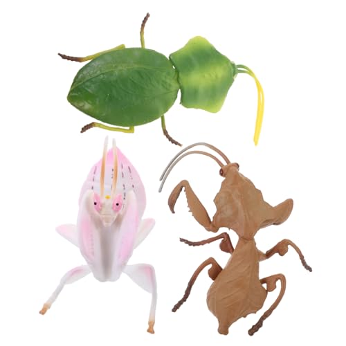 YARNOW 3Stücke Realistische Simulation Mantis Modelle Kunststoff Insektenfiguren für Pädagogisches zur Entdeckung von Insektenwissen Sicher und Langlebig für Dekoration von YARNOW