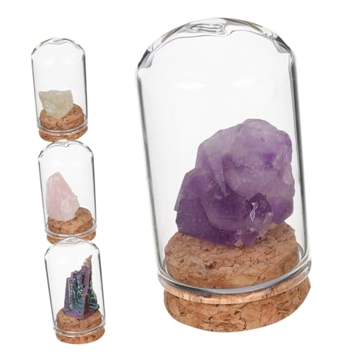 YARNOW 4Stücke Kristall Mineralien mit Glaskuppel Amethyst Cluster und Natürliche Rohsteine für Dekoration Sammlung und Bildung von Kindern YARNOW 4Stücke Kristall Mineralien mit Glaskuppel Amethyst Cluster und Natürliche Rohsteine für Dekoration Sammlung und Bildung von Kindern von YARNOW