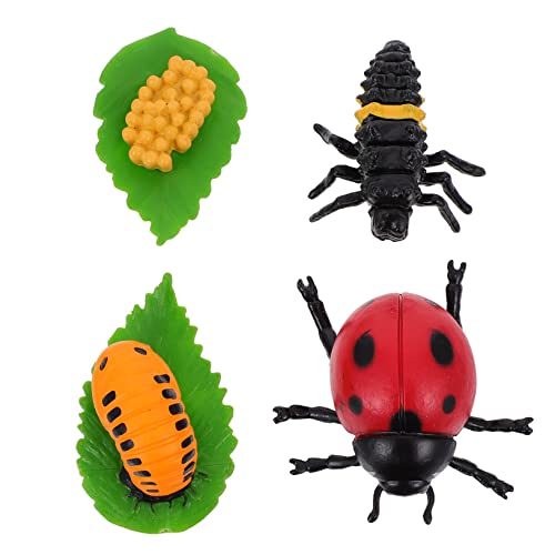 YARNOW 4Stücke Teiliges Insektenfiguren Lebenszyklus Von Marienkäfern Lustiges Und Lehrreiches Kinderspielzeug Für Naturkenntnisse Und Kreativität YARNOW 4Stücke Teiliges Insektenfiguren Lebenszyklus Von Marienkäfern Lustiges Und Lehrreiches Kinderspielzeug Für Naturkenntnisse Und Kreativität von YARNOW