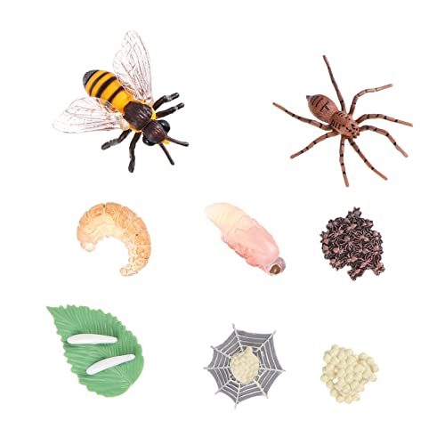YARNOW 8 Stück Teiliges Insektenmodell Biene Kreatives Simulation Evolution Modellspielzeug für Lernspiele und Dekoration von YARNOW