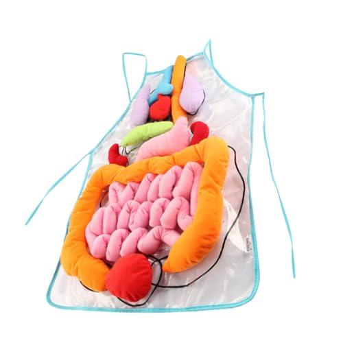 YARNOW Anatomieschürze für Pädagogische Schürze mit Menschlichen Organen Lernhilfe zur Körpererkennung Geeignet für Vorschule und Theater YARNOW Anatomieschürze für Pädagogische Schürze mit Menschlichen Organen Lernhilfe zur Körpererkennung Geeignet für Vorschule und Theater von YARNOW
