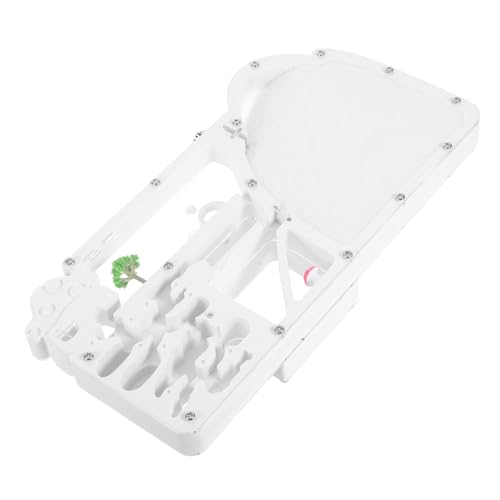 YARNOW Ant Cube Ants Ecological Nest Transparent Science Toy für Erwachsene Beobachtungs Habitat für wissenschaftliche Bildung Schule und Büro Dekoration von YARNOW