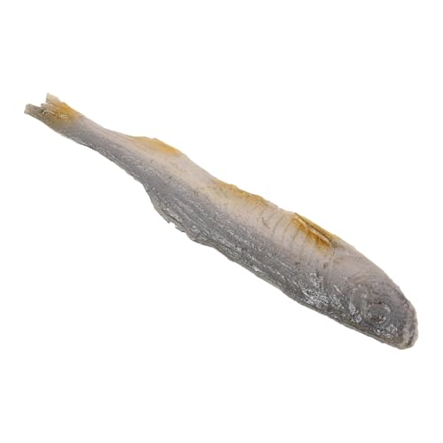 YARNOW Anzeige von gefälschten Fischen gefälschte Fischscheiben Prop -Fisch künstliche Fischmodelle Lebensmittelmodell anzeigen künstliches Lebensmittelmodell Fisch-Requisite Polyester von YARNOW