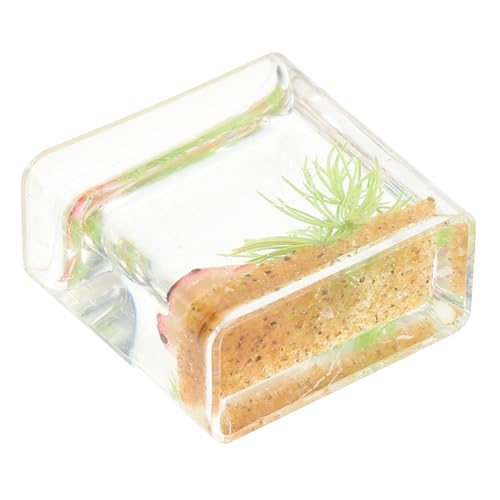 YARNOW Aquarium Dekoratives Mini Aquarium Modell Für Gestaltung Von Wohnräumen Weißes Aquarium Deko von YARNOW