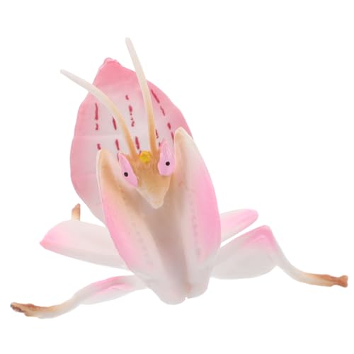YARNOW Beten Mantis Spielzeug Plastik Insektenwanzenfiguren Realistische Mantismodelle Für Desktop -Display von YARNOW