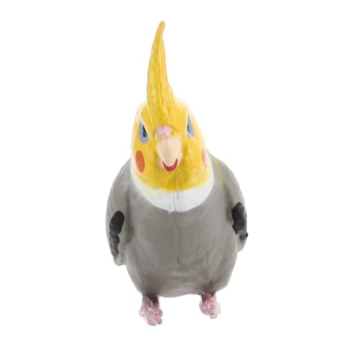 YARNOW Cockatiel Ornamente realistischer Vogel klein Sammlerstück simuliert realistisches Papageienmodell künstliche Papageien künstliche Vögel Simulationsvogelfigur PVC Grau YARNOW Cockatiel Ornamente realistischer Vogel klein Sammlerstück simuliert realistisches Papageienmodell künstliche Papageien künstliche Vögel Simulationsvogelfigur PVC Grau von YARNOW