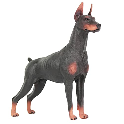 YARNOW Doberman Figur Realistisches Tiermodell für Exquisite Details Leichtes Kunststoffmaterial Fördert die Vorstellungskraft und Kreativität für Dekoration YARNOW Doberman Figur Realistisches Tiermodell für Exquisite Details Leichtes Kunststoffmaterial Fördert die Vorstellungskraft und Kreativität für Dekoration von YARNOW