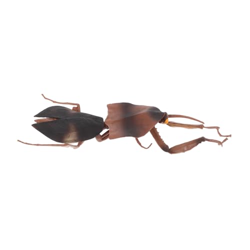 YARNOW Gottesanbeterin-Modell Simulation Insektenfigur Mantis- Simulation Gottesanbeterin Ornament kleine Spielsachen Insektenspielzeugfigur PVC Dark Brown YARNOW Gottesanbeterin-Modell Simulation Insektenfigur Mantis- Simulation Gottesanbeterin Ornament kleine Spielsachen Insektenspielzeugfigur PVC Dark Brown von YARNOW