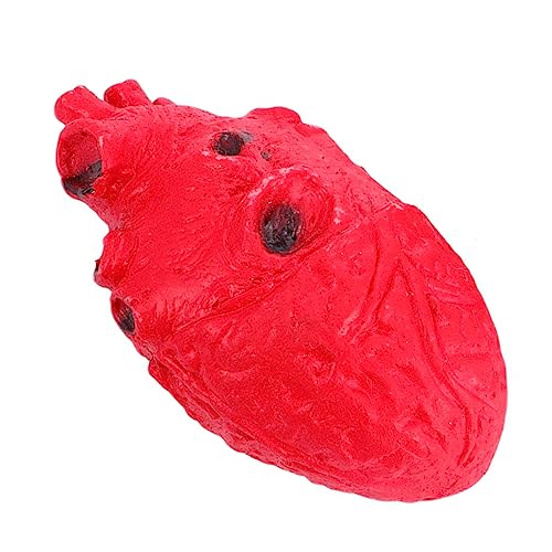 YARNOW Halloween Fake Heart Requisite Gruselige Herz Dekoration Für Horror Partys Simulation Organ Requisite Für Deko Für Halloween Veranstaltungen von YARNOW