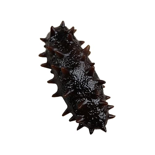 YARNOW Imitation Sea Cucumber Modell Realistisches Lebensmittel Kognitive Spielzeuge für Fotografie Requisiten für Restaurant Zuhause von YARNOW