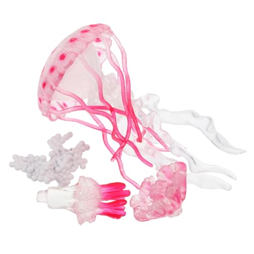 YARNOW Jellyfish Lebenszyklus Modell für Interaktives Lernspielzeug Kognitiven Fähigkeiten Dekoratives Element für Aquarien und Vorschulbildung von YARNOW