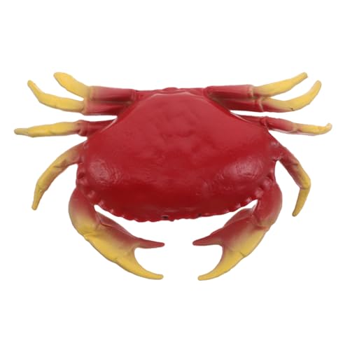 YARNOW Krabben Gefälschte Modelle Dekoration Veranstaltungen Displays Ornament – Requisiten Realistische Dekorationen Tischfigur Lernfotografie Modell Meer Aquarium YARNOW Krabben Gefälschte Modelle Dekoration Veranstaltungen Displays Ornament – Requisiten Realistische Dekorationen Tischfigur Lernfotografie Modell Meer Aquarium von YARNOW