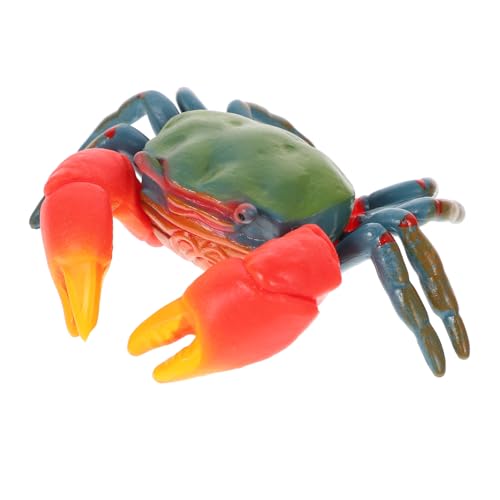 YARNOW Kreatives Realistische Meeresbewohner Dekoration für Lernspielzeug und Aquarium Dekoration für Kleine YARNOW Kreatives Realistische Meeresbewohner Dekoration für Lernspielzeug und Aquarium Dekoration für Kleine von YARNOW