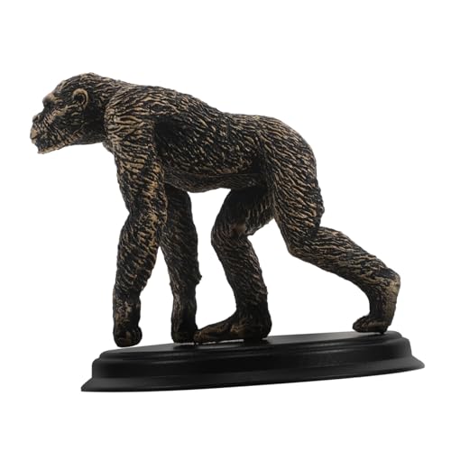YARNOW Lehrmittel Zur Menschlichen Evolution Schimpansen Gorilla Gozilla Orang-utan- -Mann-Figur Orang-utan-Statue Plastik YARNOW Lehrmittel Zur Menschlichen Evolution Schimpansen Gorilla Gozilla Orang-utan- -Mann-Figur Orang-utan-Statue Plastik von YARNOW