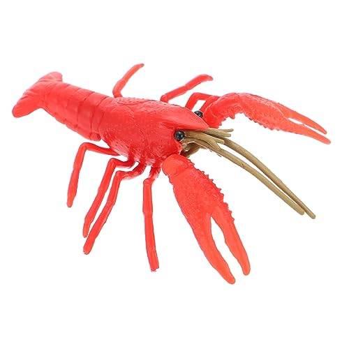 YARNOW Lobster Modell Kreatives Krebsspielzeug für Kognitive Entwicklung Einzigartiges Deko Element für Wohnzimmer Schlafzimmer und Schreibtisch Leicht und Tragbar Lernspielzeug von YARNOW