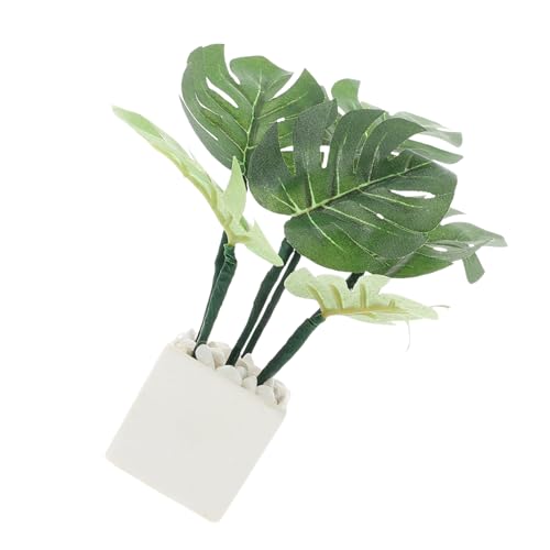 YARNOW Mini-Möbelmodell tropisches Monstera gefälschte Tropische Pflanzen Miniatursachen falsches Monster Puppenhauszubehör Puppenhaus Pflanzen Miniaturen Plastik YARNOW Mini-Möbelmodell tropisches Monstera gefälschte Tropische Pflanzen Miniatursachen falsches Monster Puppenhauszubehör Puppenhaus Pflanzen Miniaturen Plastik von YARNOW