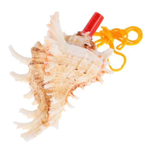 YARNOW Muschelwinkel Muschelschale Muschelhorn Muschelspielzeug Muscheln zur Dekoration Muscheln groß große Muscheln natürliche Meeresmuschel große Schale Muscheln zum Dekorieren YARNOW Muschelwinkel Muschelschale Muschelhorn Muschelspielzeug Muscheln zur Dekoration Muscheln groß große Muscheln natürliche Meeresmuschel große Schale Muscheln zum Dekorieren von YARNOW