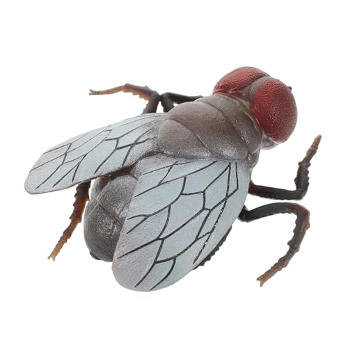 YARNOW Plastikfliegen Realistische Große Fliegenfigur für Kognitives Insektenspielzeug für Aprilscherze Halloween Deko und Festliche Anlässe Lustiges für Jungen YARNOW Plastikfliegen Realistische Große Fliegenfigur für Kognitives Insektenspielzeug für Aprilscherze Halloween Deko und Festliche Anlässe Lustiges für Jungen von YARNOW