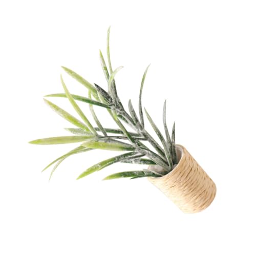 YARNOW Puppenhaus Zubehör Lebensechte Miniaturpflanze Dekoratives Micro Landscape Accessoire für DIY Basteln und Wohnraumgestaltung von YARNOW