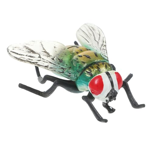 YARNOW Realistische Gefälschte Fliegenmodell Nachahmung Insekten für Kognitive Entwicklung für Drinnen und Draußen Fördert Soziale Interaktionen und Lernfähigkeiten YARNOW Realistische Gefälschte Fliegenmodell Nachahmung Insekten für Kognitive Entwicklung für Drinnen und Draußen Fördert Soziale Interaktionen und Lernfähigkeiten von YARNOW