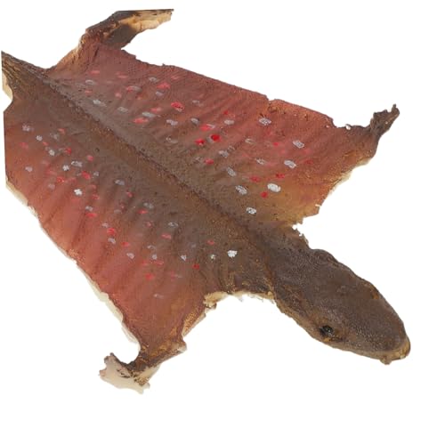 YARNOW Realistische Halloween Gecko Figurine Kunststoff Reptilienmodell Detailgetreu für Partydeko Fotografie Garten Innenraumgestaltung Vielseitige Reptilien-Dekoration YARNOW Realistische Halloween Gecko Figurine Kunststoff Reptilienmodell Detailgetreu für Partydeko Fotografie Garten Innenraumgestaltung Vielseitige Reptilien-Dekoration von YARNOW