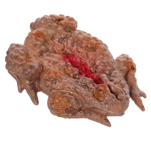 YARNOW Realistische Kröte Prank für Halloween Gruselige Mahlzeit Box Deko für Spukhaus Partys und Theater YARNOW Realistische Kröte Prank für Halloween Gruselige Mahlzeit Box Deko für Spukhaus Partys und Theater von YARNOW