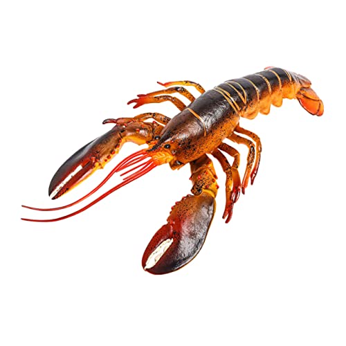 YARNOW Realistisches Hummermodell aus Robustem Kunststoff Lebensechte Hummerfigur mit Glatter Oberfläche Sicheres Kinderspielzeug und Dekoratives Aquarium oder Gartenzubehör YARNOW Realistisches Hummermodell aus Robustem Kunststoff Lebensechte Hummerfigur mit Glatter Oberfläche Sicheres Kinderspielzeug und Dekoratives Aquarium oder Gartenzubehör von YARNOW