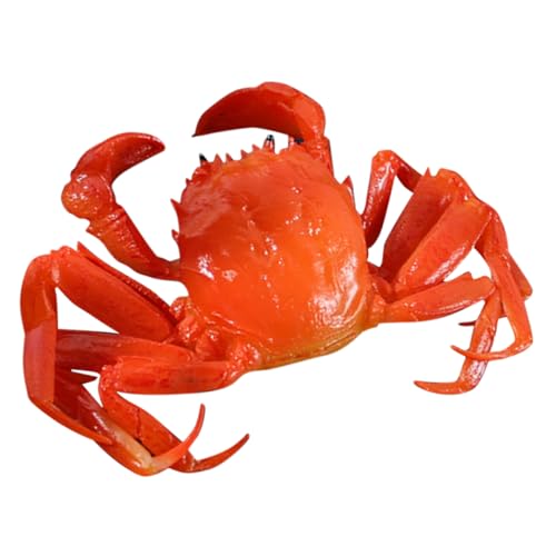 YARNOW Realistisches Krabbenmodell aus Kunststoff Dekoratives Meeres Tiermodell mit Detailgetreuer Nachbildung Stabile Simulation für Aquarium und Lernspielzeug von YARNOW
