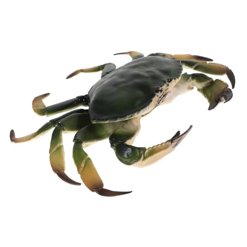 YARNOW Realistisches Krabbenmodell aus Sicherem Kunststoff Detailgetreue Simulation Langlebige Meeresdeko Pädagogisches Tiermodell als Aquarium Dekoration und Ab Monaten YARNOW Realistisches Krabbenmodell aus Sicherem Kunststoff Detailgetreue Simulation Langlebige Meeresdeko Pädagogisches Tiermodell als Aquarium Dekoration und Ab Monaten von YARNOW