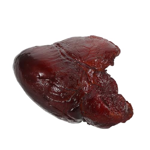 YARNOW Realistisches Schweineherz Modell Detailgetreuer Küchen Food Prop für Restaurantdeko Fotografie Requisite Langlebig Tragbar Täuschend Echt für Kreative Food Displays YARNOW Realistisches Schweineherz Modell Detailgetreuer Küchen Food Prop für Restaurantdeko Fotografie Requisite Langlebig Tragbar Täuschend Echt für Kreative Food Displays von YARNOW