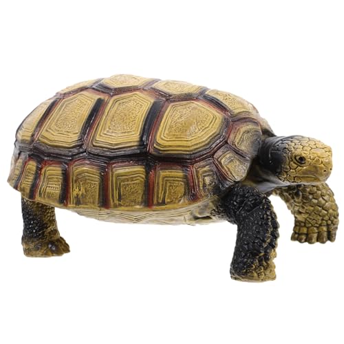YARNOW Schildkröte Modell Europäische Landschildkröte Figur Für Pädagogisches Lernspielzeug Detailgetreue Nachbildung Für Sammeln YARNOW Schildkröte Modell Europäische Landschildkröte Figur Für Pädagogisches Lernspielzeug Detailgetreue Nachbildung Für Sammeln von YARNOW