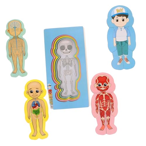 YARNOW Set Menschlicher Körperstruktur Puzzle Gehirnspielzeug Menschlicher Körper Puzzle Für Denksportaufgaben Puzzles Für Gehirn Puzzles Organmodelle Aus Holz von YARNOW