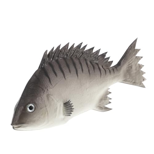 YARNOW Simulation Fischmodell Fisch Dekoration Fisch-Modell Interaktives Fischspielzeug kleine Fischfiguren realistischer Fisch Fischfigurenmodell Tiermodelldekor Pu Grey von YARNOW