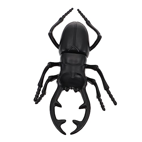 YARNOW Simulation Modell Realistisches Insektendekor für Kognitives Lernspielzeug aus Langlebigem für Zuhause und Büro YARNOW Simulation Modell Realistisches Insektendekor für Kognitives Lernspielzeug aus Langlebigem für Zuhause und Büro von YARNOW