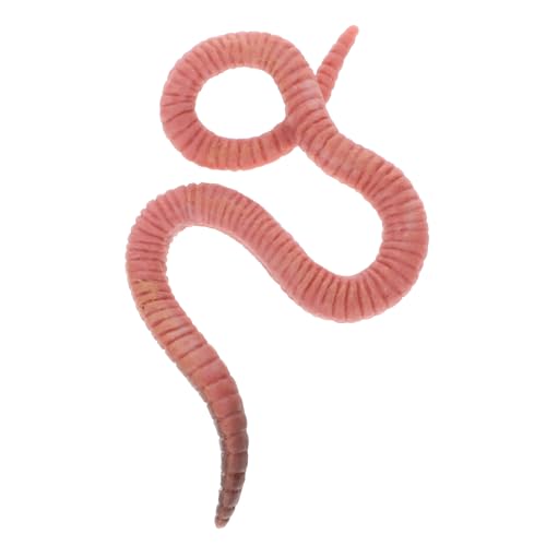 YARNOW Simulation Regenwurm Modell Realistisches Kunststoffspielzeug für Pädagogisches Lernspielzeug und Garten Dekoration YARNOW Simulation Regenwurm Modell Realistisches Kunststoffspielzeug für Pädagogisches Lernspielzeug und Garten Dekoration von YARNOW