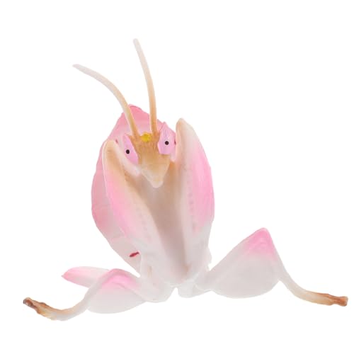 YARNOW Simulation Tiermodell Gefälschte Insektenmodell Käfermodell Insektenspielzeug Insektenmodelle Kunststoff Rosa von YARNOW