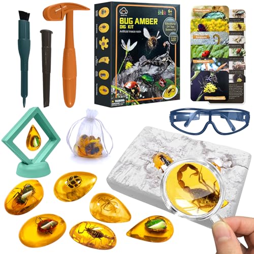 YATOSEEN Bernstein Ausgrabungsset – Fossilien-Grabungsset mit 6 verschiedenen künstlichen Insekten-Harz-Edelsteinen, Insektenproben ausgraben, lehrreiches Wissenschafts-Set, Spielzeug für Kinder 6+ YATOSEEN Bernstein Ausgrabungsset – Fossilien-Grabungsset mit 6 verschiedenen künstlichen Insekten-Harz-Edelsteinen, Insektenproben ausgraben, lehrreiches Wissenschafts-Set, Spielzeug für Kinder 6+ von YATOSEEN