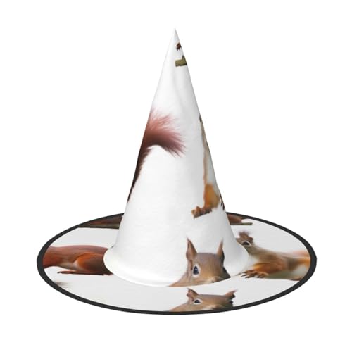 YBAOFU Faltbarer spitzer Spitzen-Hexenhut für Halloween-Partydekorationen 1 Stück - Nettes Eichhörnchen YBAOFU Faltbarer spitzer Spitzen-Hexenhut für Halloween-Partydekorationen 1 Stück - Nettes Eichhörnchen von YBAOFU