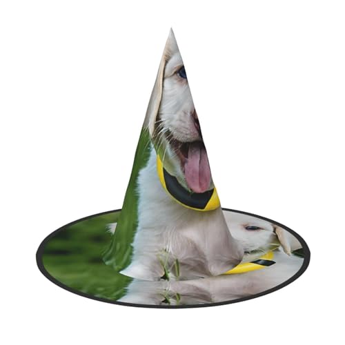 YBAOFU Hexenhut für Damen, spitz, faltbar, für Halloween-Party-Dekoration, 1 Stück, Bichon Frisé-Hund YBAOFU Hexenhut für Damen, spitz, faltbar, für Halloween-Party-Dekoration, 1 Stück, Bichon Frisé-Hund von YBAOFU