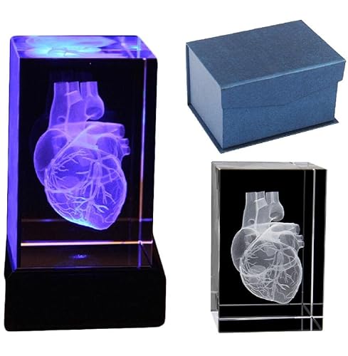 3D Menschliches Herz Anatomisches Modell – Kristall 3D Menschliches Herz mit Koronarterie – Briefbeschwerer (Lasergeätzt) in Kristallglas Würfel Wissenschaft Geschenk (mit LED-Basis) von YC°