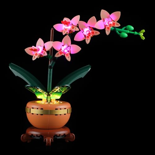 YEABRICKS LED Licht für 10343 The Botanical Collection Mini-Orchidee Bausteine Modell (Bausteine Set Nicht enthalten) von YEABRICKS
