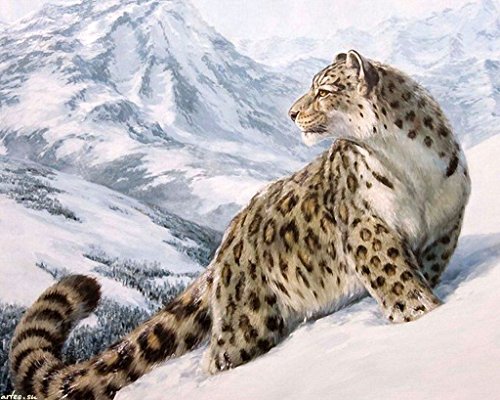 YEESAM ART Neuerscheinungen Malen nach Zahlen für Erwachsene Kinder - Schnee Leopard 16 * 20 Zoll Leinen Segeltuch - DIY ölgemälde ölfarben Weihnachten Geschenke von YEESAM ART